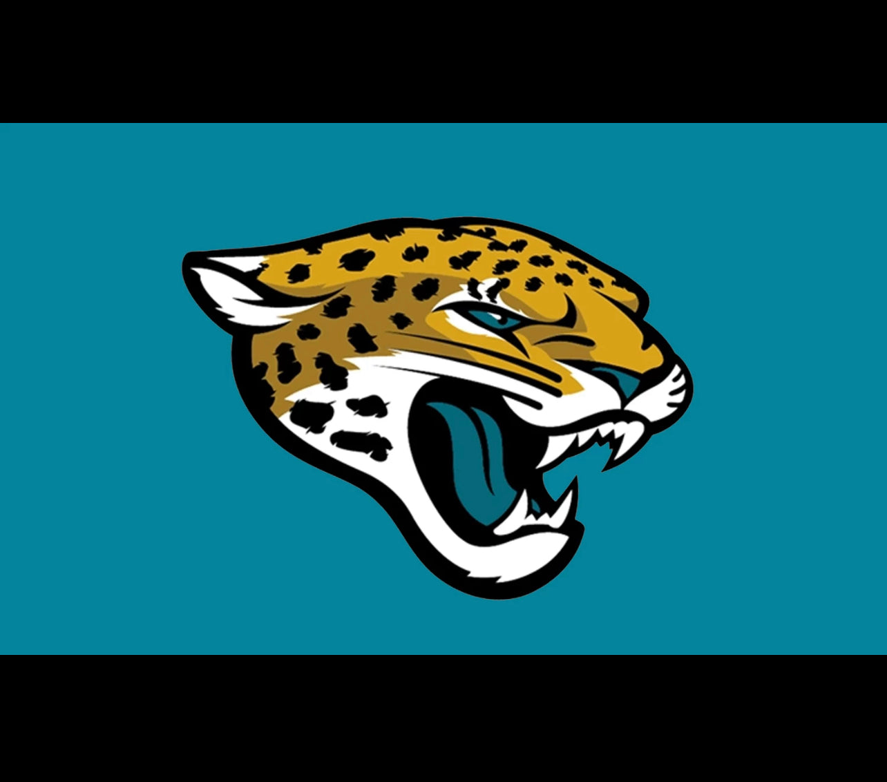 Jacksonville Pro Football Team Flag 3 x 5 Tailgate Flag Mancave Football Banner