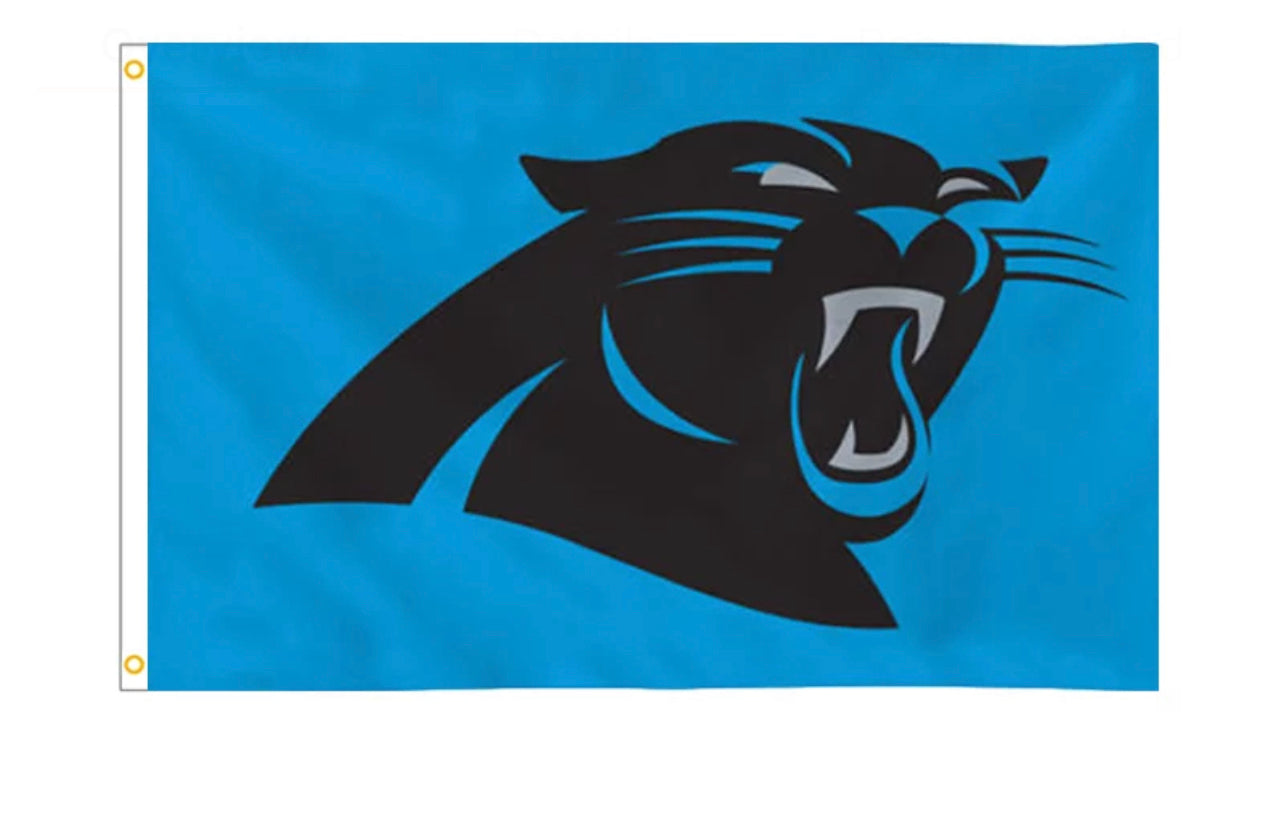 Carolina Pro Football Team Flag 3 x 5 Tailgate Flag Mancave Football Banner